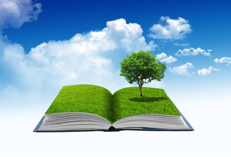Open 3D book with tree on green grass field, conceptual ideaの写真素材