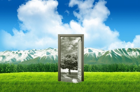 Door open on green field for environmental concept and idea