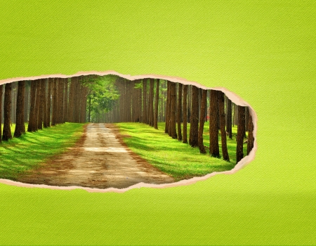 Torn paper with spaceの写真素材