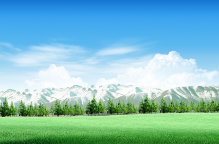 green field and treesの写真素材