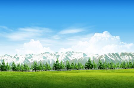 green field and treesの写真素材
