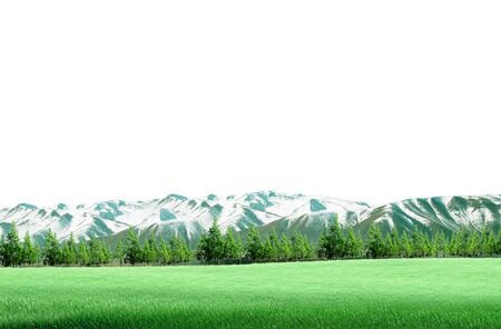 green field and treesの写真素材
