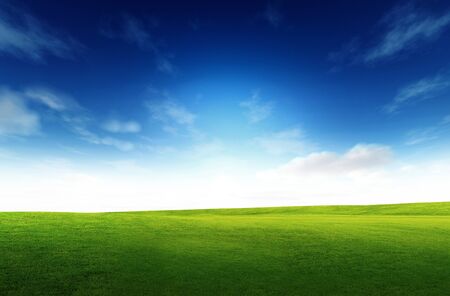 green field and blue skyの写真素材