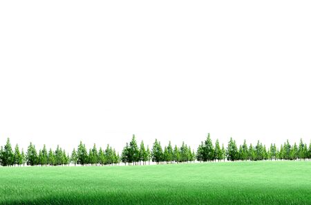 green field and treesの写真素材