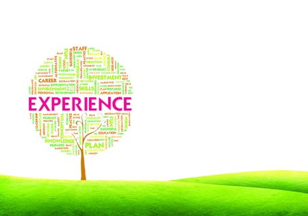 Tree word tag cloud business concept on ground grass backgroundの写真素材