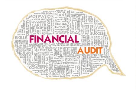 Wordcloud on texture paper speech bubble, Financial Auditの写真素材