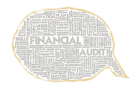 Wordcloud on texture paper speech bubble, Financial Auditの写真素材