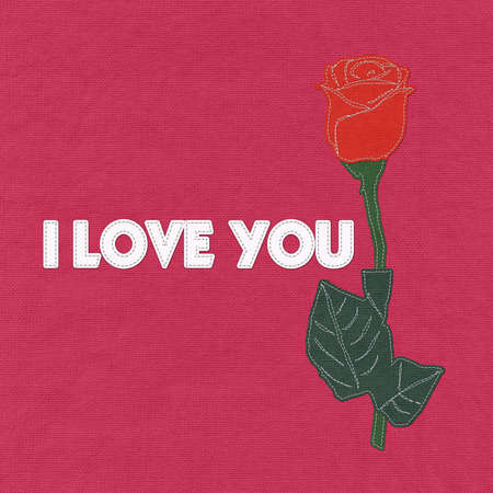 Red rose with stitch style on fabric backgroundの写真素材