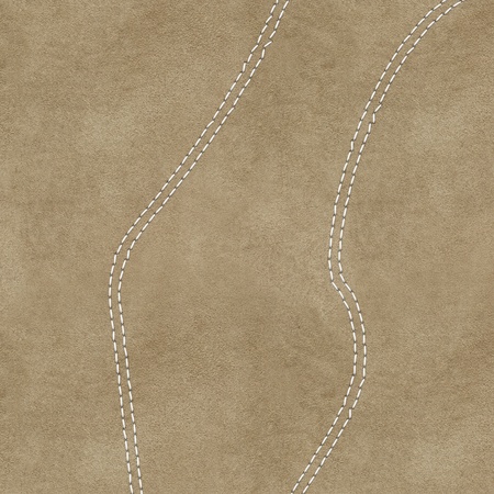 Leather with stitches of a white threadの写真素材