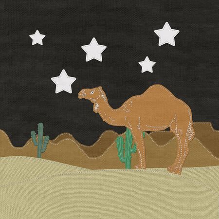 Lone Camel in the Desert sand with stitch style on fabric backgroundの写真素材