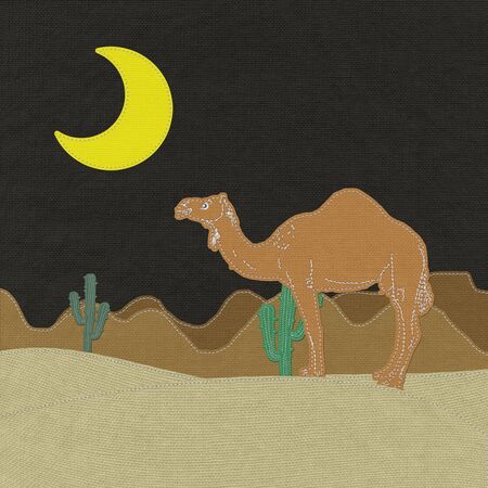Lone Camel in the Desert sand with stitch style on fabric backgroundの写真素材