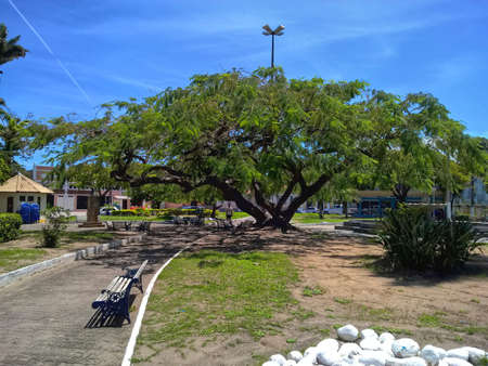 Central park in Quissama city, Rio de Janeiro Brazilの写真素材