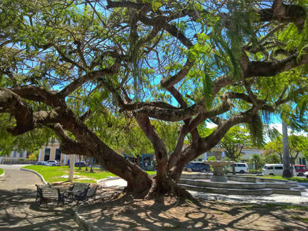 Central park in Quissama city, Rio de Janeiro Brazil