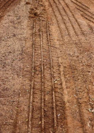 Tire track follow awayの写真素材