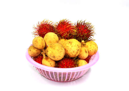 Longan and rambutan fruit form Thailandの写真素材
