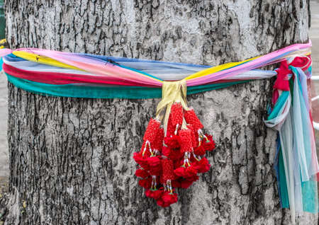 respective of Thailand for big old tree,by color robe.の写真素材