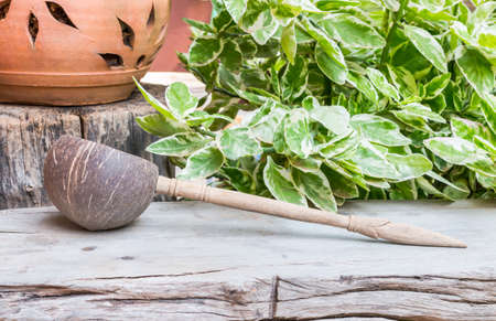 Water Dipper made from coconut shell and Clay potの写真素材