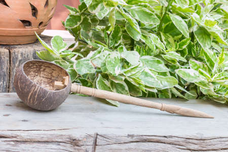 Water Dipper made from coconut shell and Clay potの写真素材