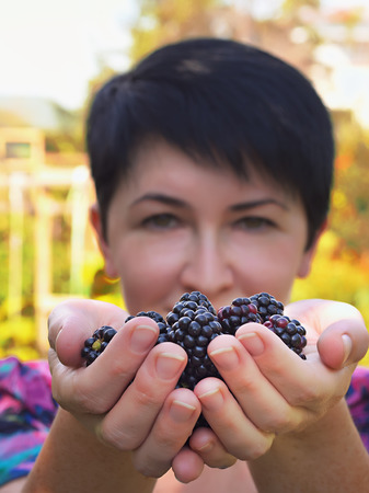 Hands holding black raspberriesの写真素材
