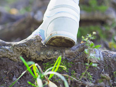 Girl walking at the forrestの写真素材