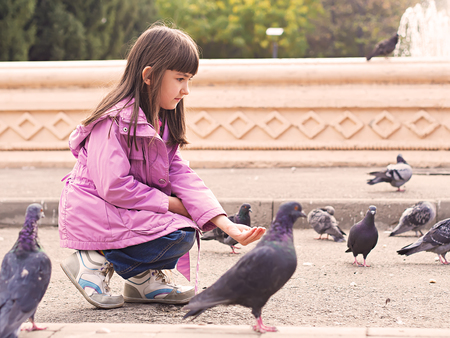 Small caucasian girl feeding pigeonsの写真素材