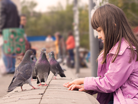 Small caucasian girl feeding pigeonsの写真素材
