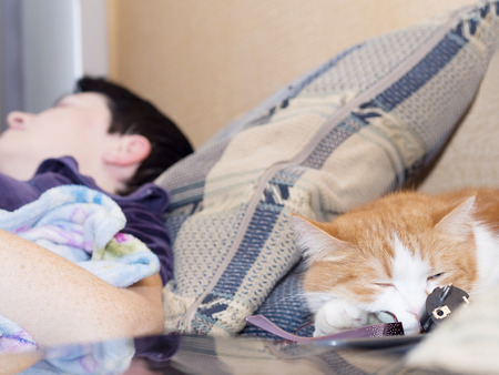 Portrait of slipping yellow sad sick cat and woman lying at homeの写真素材