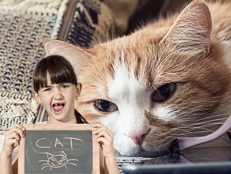 Caucasian little girl hold chalkboard signed cat with sick sad red cat lying at homeの写真素材