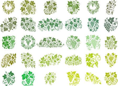 Elegant decorative element with a bunch of grapes and leavesのイラスト素材