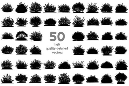 Set of silhouettes of bushes and grass. Vector illustration for your designのイラスト素材