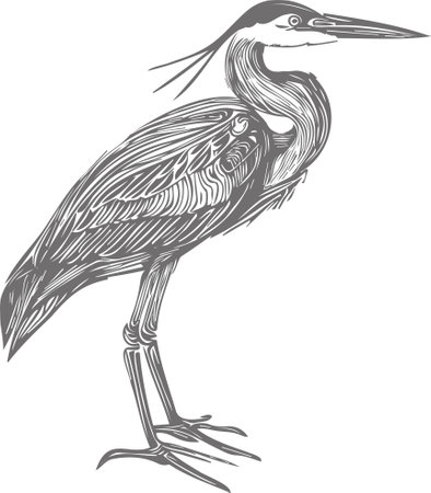 Heron.Vector illustration ready for vinyl cutting.Eps 10のイラスト素材
