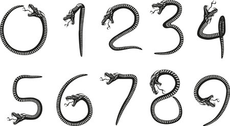 Black snake numbers on white background. Vector illustration for your design.のイラスト素材
