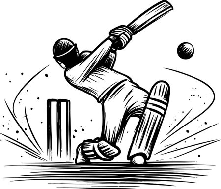 Cricket Player in Action.Vector illustration ready for vinyl cutting.