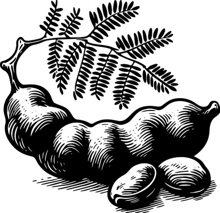 Tamarind.Tamarind.Vector illustration ready for vinyl cutting.のイラスト素材