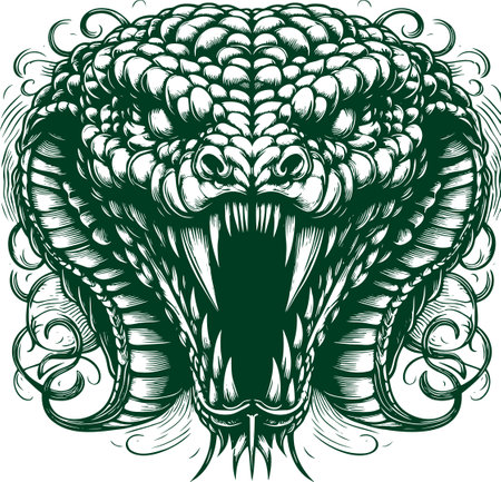 illustration of a mythical snake head in a grin with ornamental detailsのイラスト素材