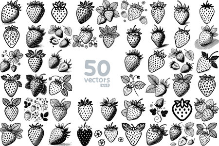Collection of detailed strawberry illustrations in vintage engraving style for design projects packaging and brandingのイラスト素材