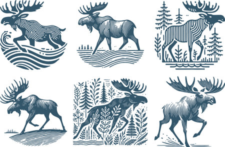 Moose in Nature Scenes Illustrated in Detailed Line Art Styleのイラスト素材