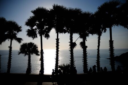 sunset and shadeの写真素材