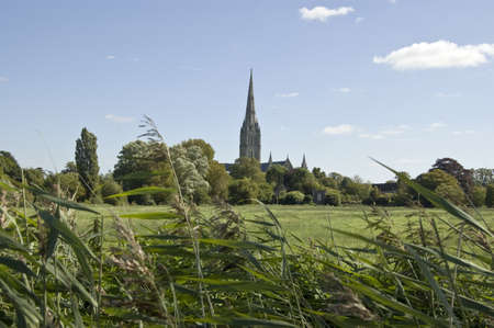 View across the water meadows towards the medieval cathedral at Salisbury, Wiltshire.の写真素材