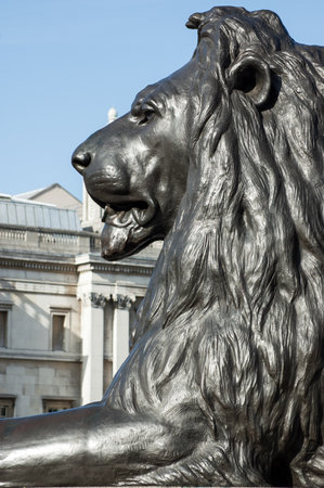 Profile of one of the four lion statues sitting at the base of Nelson's Column in Trafalgar Square, London.のeditorial素材