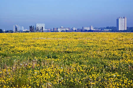 A spring time view of Basingstoke, Hampshire from a meadow full of buttercups.