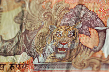 Detail of an Indian banknote showing animals from the country including a tiger, an elephant and a Rhinoceros. Used banknote, photographed at an angle.の写真素材