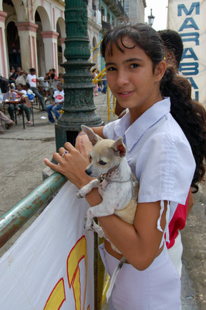 Havana, Cuba - November 20, 2005:  A girl and her pet chihuahua spectating at the end of the Marabana Havana Marathon in Cuba.のeditorial素材