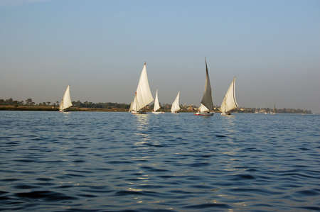Felucca sailing boats in the evening sunshine on the River Nile at Luxor, Egypt.の写真素材