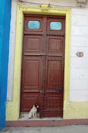A small dog waiting outside the door to a block of apartments in Old Havana, Cuba.の写真素材