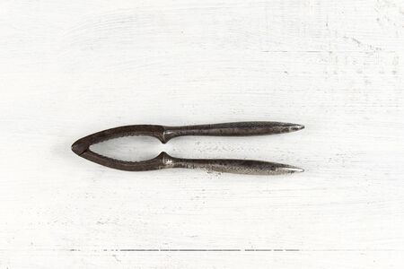 Nutcracker tool on wood bleachedの写真素材