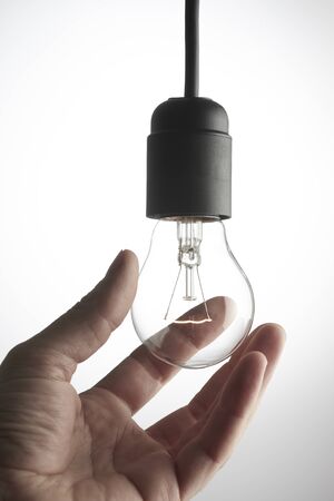 Bulb and power cord with a gray backgroundの写真素材