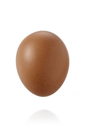 simply egg on whiteの写真素材