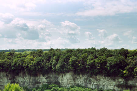 Forest on the rock and nice dramatic sky, tonedの写真素材