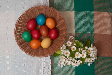 Colorful Chicken and Quail Eggs Happy Easter with flowersの写真素材